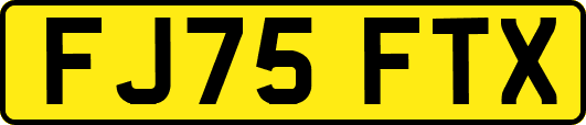 FJ75FTX