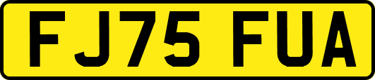 FJ75FUA