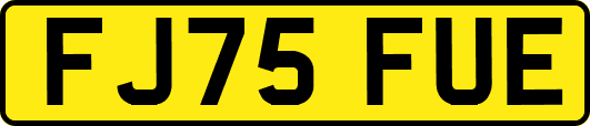 FJ75FUE