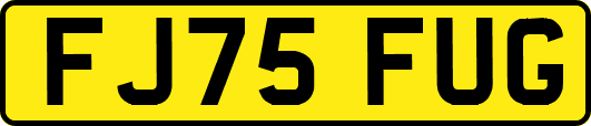 FJ75FUG