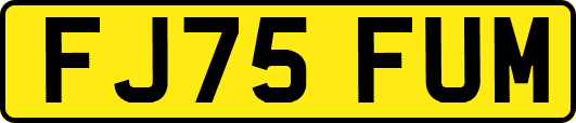 FJ75FUM