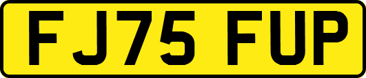 FJ75FUP