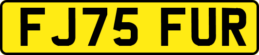 FJ75FUR