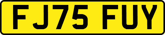 FJ75FUY