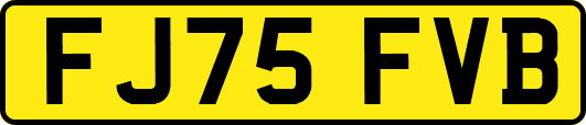 FJ75FVB