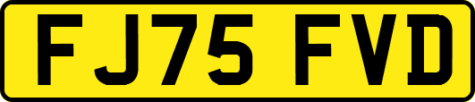 FJ75FVD