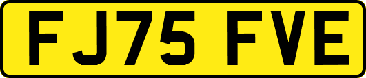 FJ75FVE