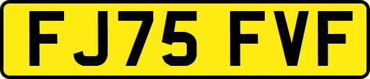 FJ75FVF