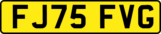 FJ75FVG