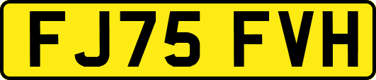 FJ75FVH