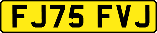 FJ75FVJ