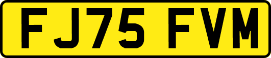 FJ75FVM