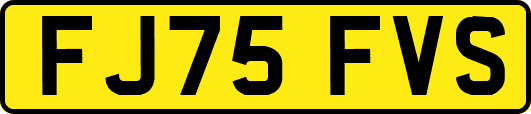 FJ75FVS