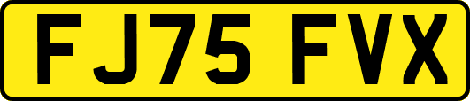 FJ75FVX