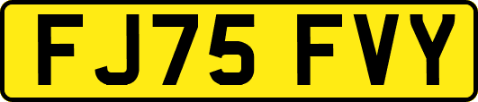 FJ75FVY