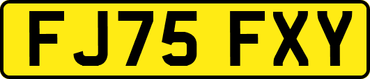 FJ75FXY
