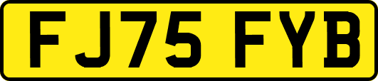 FJ75FYB