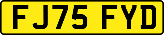 FJ75FYD