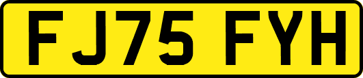 FJ75FYH