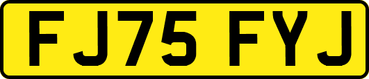 FJ75FYJ