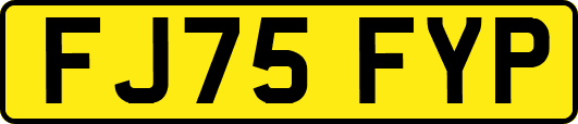 FJ75FYP