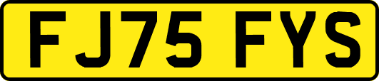 FJ75FYS