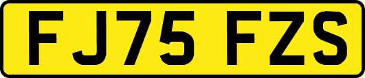 FJ75FZS