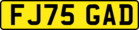 FJ75GAD