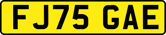 FJ75GAE