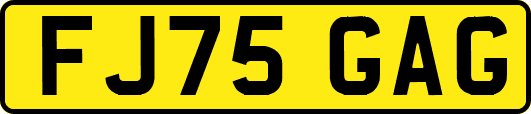 FJ75GAG