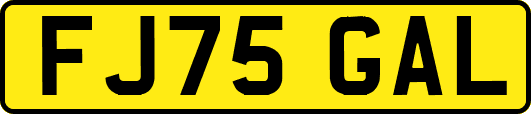 FJ75GAL