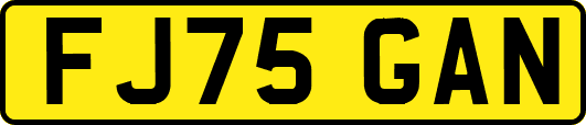 FJ75GAN