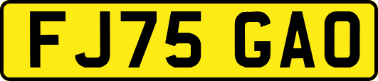 FJ75GAO