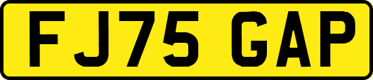 FJ75GAP