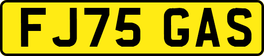 FJ75GAS