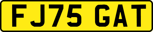 FJ75GAT