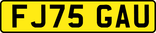 FJ75GAU