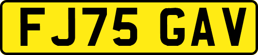 FJ75GAV
