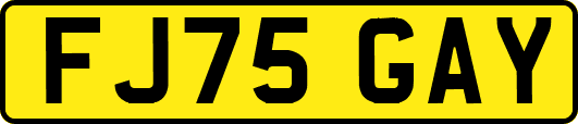 FJ75GAY