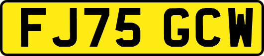 FJ75GCW