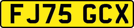 FJ75GCX