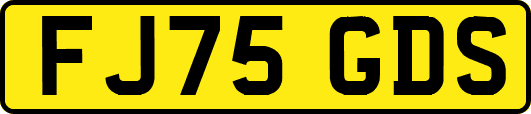 FJ75GDS