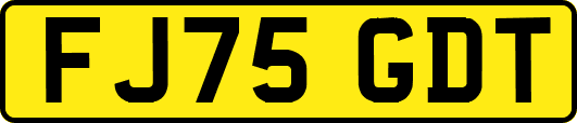 FJ75GDT
