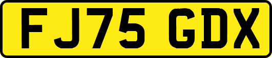 FJ75GDX