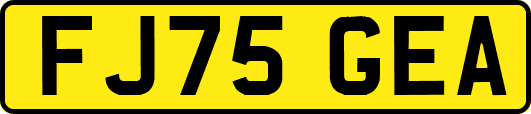 FJ75GEA