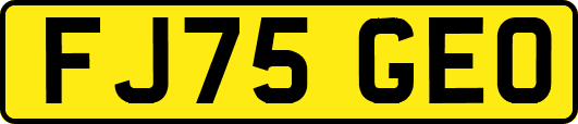 FJ75GEO