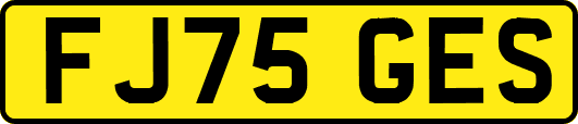FJ75GES