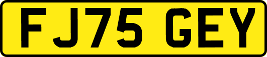 FJ75GEY