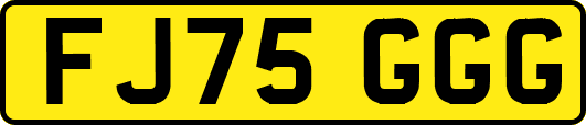 FJ75GGG