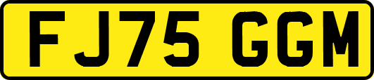 FJ75GGM